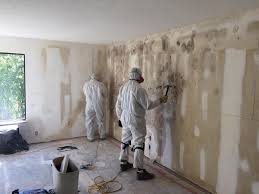 Mold Odor Removal Services in Brunswick, GA